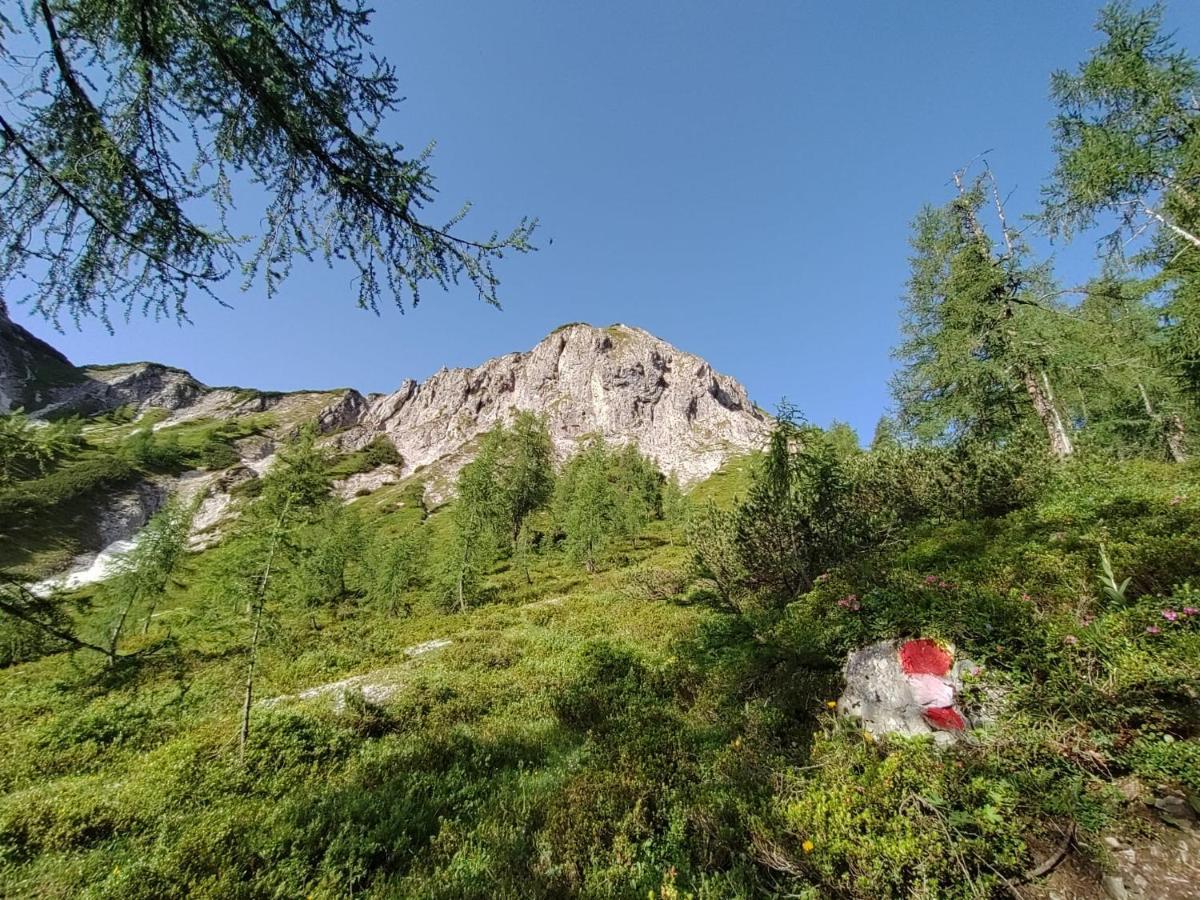 Firstpeak Chalets เซาเคินเซ ภายนอก รูปภาพ